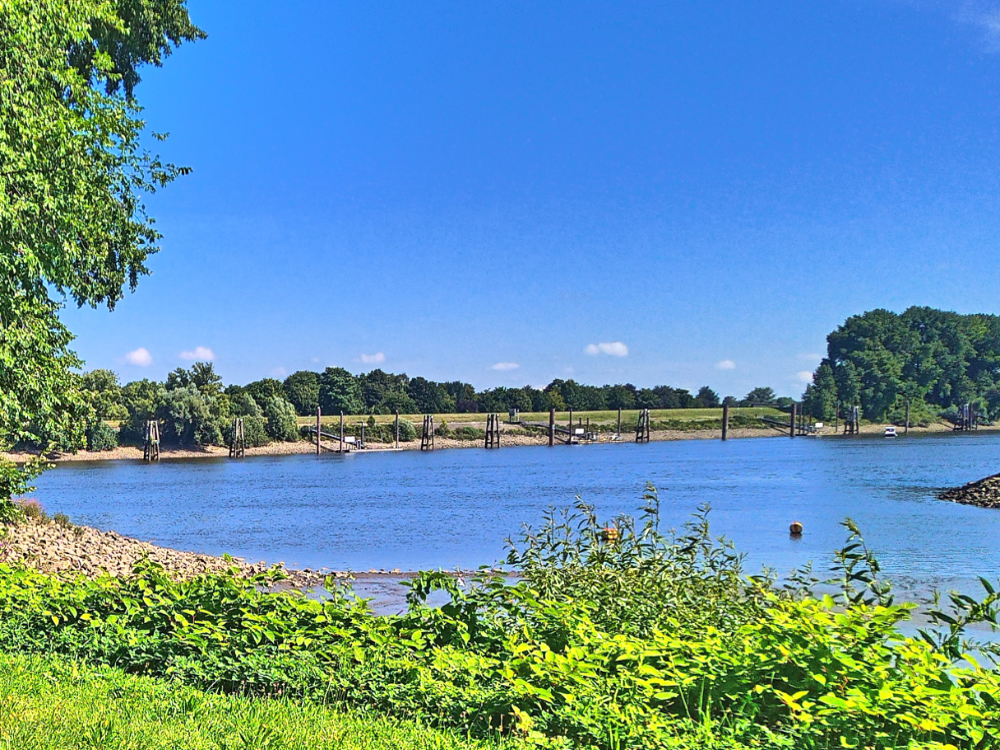 Süderelbe